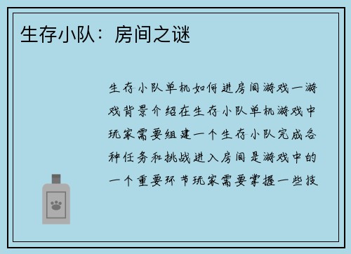 生存小队:房间之谜